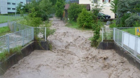 Wasserpumpe für Emmetten in Luzern Mieten